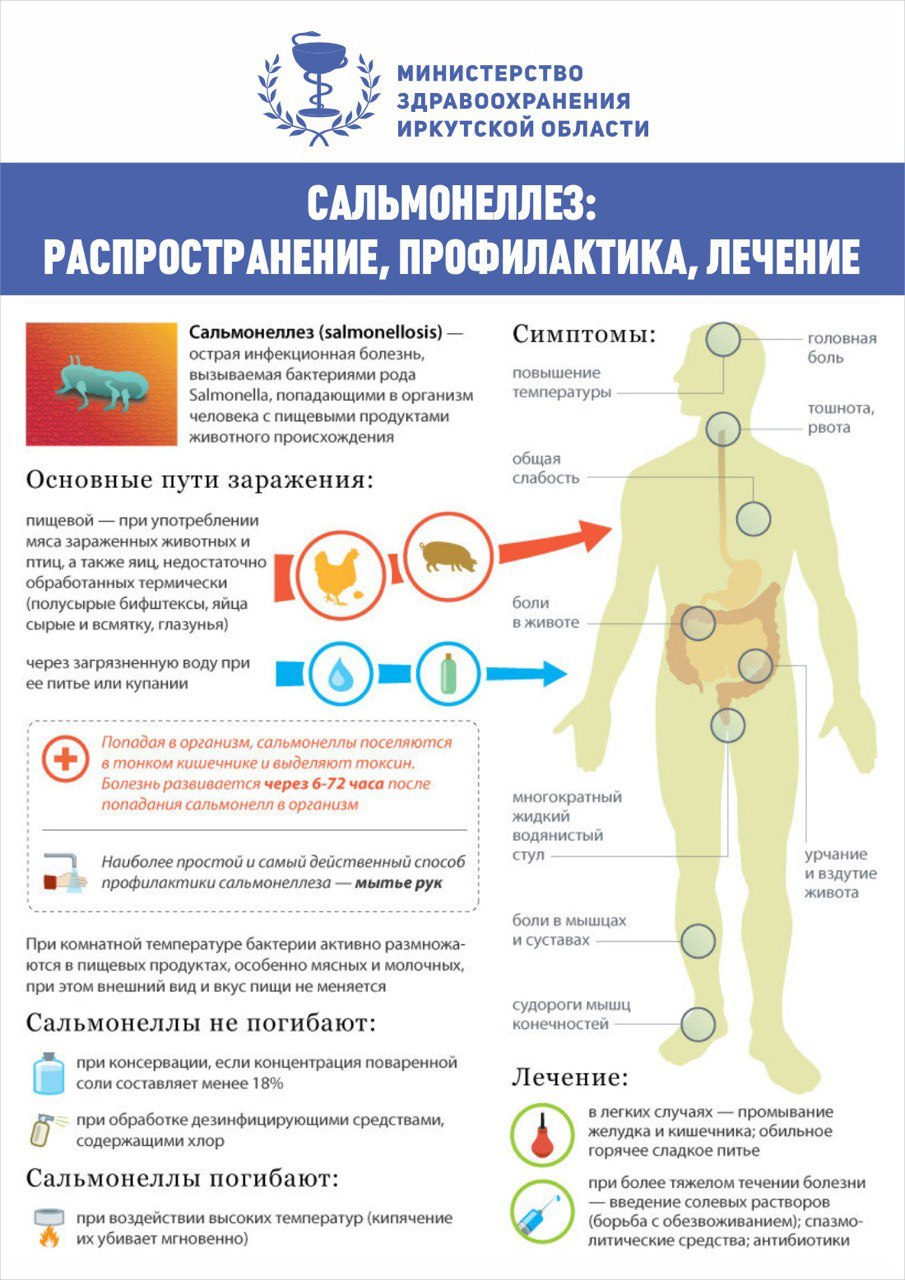 ОГАУЗ «ИГКБ № 9» - Сальмонеллёз распространение профилактика и лечение